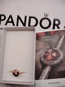 Pandora - Kolekce Pandora Moments, Materiál růžové zlacení - 4