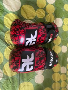 Taekwondo - 4