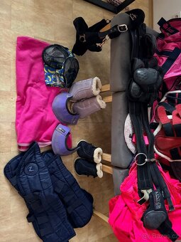 Vánoční balíček pro koně 🐎 - 4