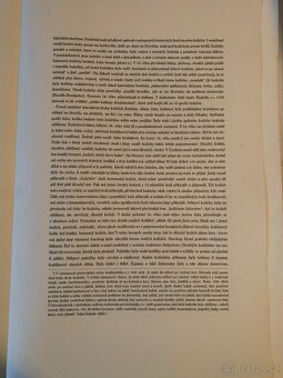 Joža Uprka Kožuchy muži - 4