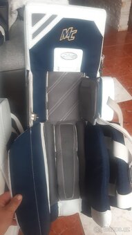 Brians GNETIK IV PRO Custom - 4
