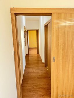 Pronájem bytu Bzenec-Kolonie - 4