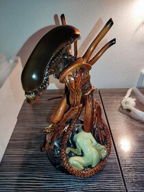 Alien Warrior fewture/sideshow socha - 4