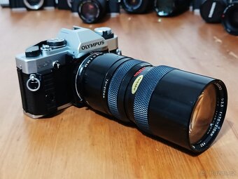 OLYMPUS OM-20 (Soligor Zoom Macro 70-210mm) - 1983 - 4