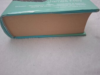 Milion malých střípků - James Frey - 4