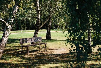 Canon AE-1 - 4