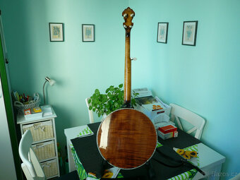 Pětistrunné banjo - 4