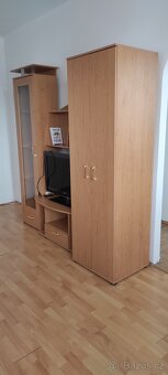 Pronájem družstevního bytu 2+1 - 4