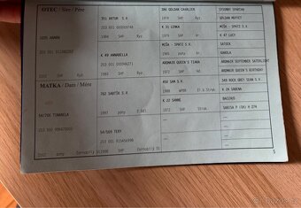 zlatá pony klisna - 4