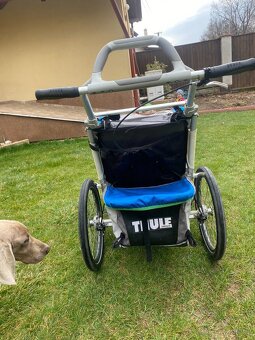 Thule Chariot CX1 Blue - 4