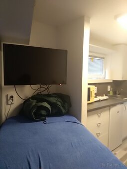 Pronájem malého bytu (17 m²) – Sedlec u Líbeznic - 4