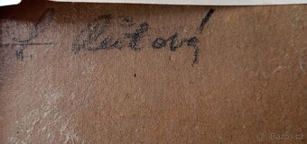 Starý obraz - olejomalba - 4