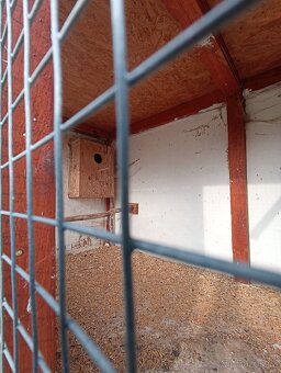Velká voliéra - 4