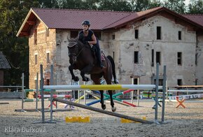 Valach do sportu i rekreace po Grand Step - 4