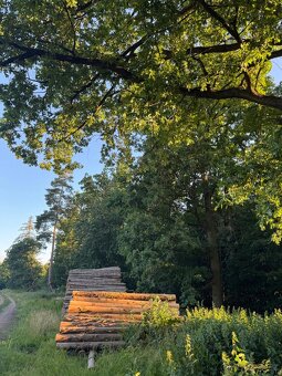 Prodám lesní pozemky v k.ú. Vlašim - 4