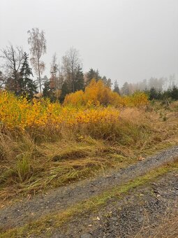 Prodej lesních pozemků k.ú. Úboč - 4