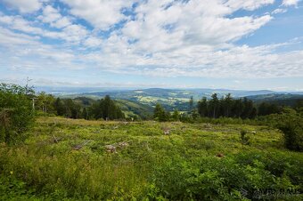Prodej stavebního pozemku o výměře 2226 m2 , obec Vyškovec - 4
