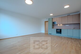 Pronájem bytu 1+kk 42 m², Praha - Smíchov, ev.č. N08568 - 4