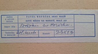 Pavel Kopáček - 4