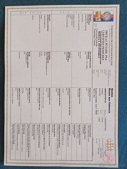 Francouzský buldoček s PP FCI - 4