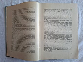 Neděle pařížského měšťáka - Guy de Maupassant - 4