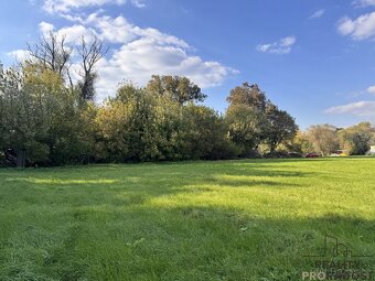 Prodej louky v k.ú. Rohatec u řeky Moravy - 4