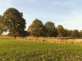 Pištín/ Češnovice Ostatní plocha 11644m2 - 4