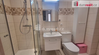 pronájem bytu 1kk s terasou a parkovacím stání - 4