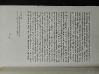 Nemoc jako symbol - 4