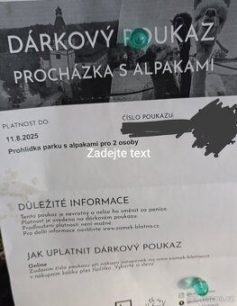 Procházka s alpakami na zámku Blatná - do 11.8. - 4