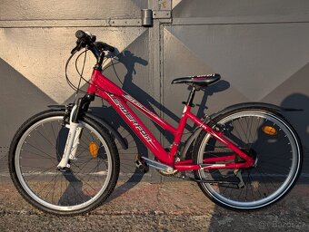 Dětské kolo Leader Fox Spider 24" - 4