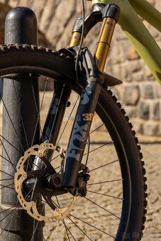 Canyon Torque 29 CF 9 2022 - 4