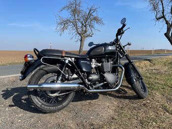 Triumf Bonneville t100 (2015) - 4