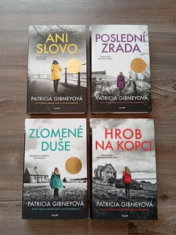 10x Kniha Patricia Gybneyová - 4