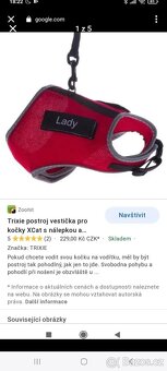 Kočičí postroj - 4