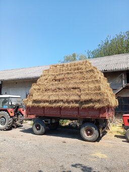 Nahý oves - 4