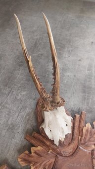 Srnčí vyřezávaný věšák - 4