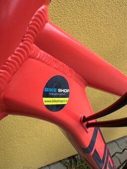 Pells razzer 2025 - 4