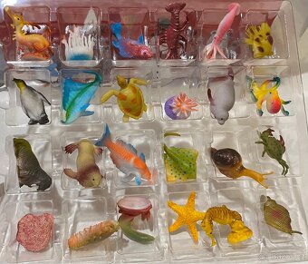 Adventní kalendář - mořský svět - 4