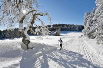 APARTMÁN V KRKONOŠÍCH /4os. - 4