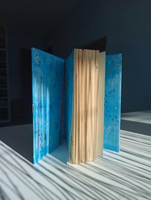 Majda Čmuchalová:Případ přízračného morčete - 4