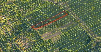 0,3 ha pozemků v k.ú. Nová Lhota u Veselí nad Moravou - 4