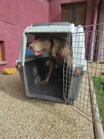 Přepravní klec pro psa - 4