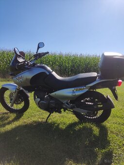 Suzuki xf 650 freewind - 4