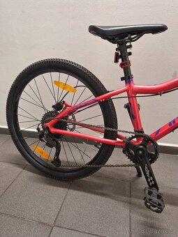 AMULET 24 Youngster - 4