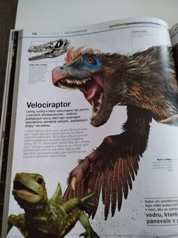 Dinosauři v kostce - 4