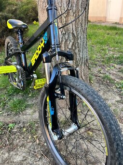 Leader Fox Baddy 20" - 4