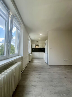 Pronájem bytu 3+1, Krakovská, Hrabůvka, 14900 Kč/měs, 62 m2 - 4