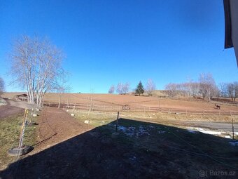 Hledám stajnika - 4