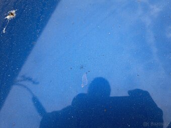 Kapota Škoda Octavia 2 modrá 9463 - 4